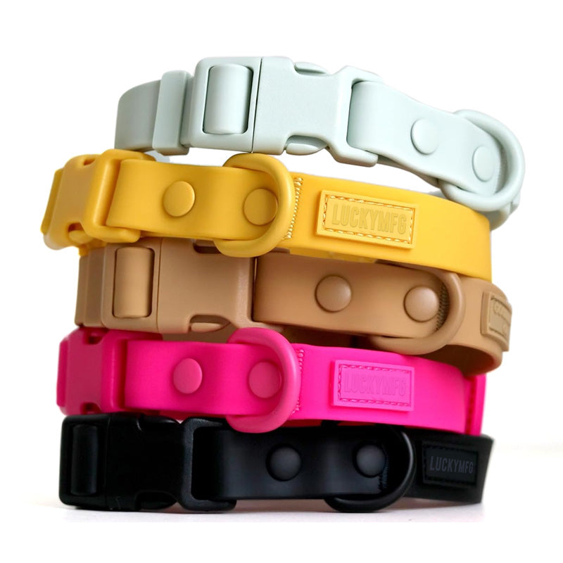 ColorPop Waterproof Dog Collar