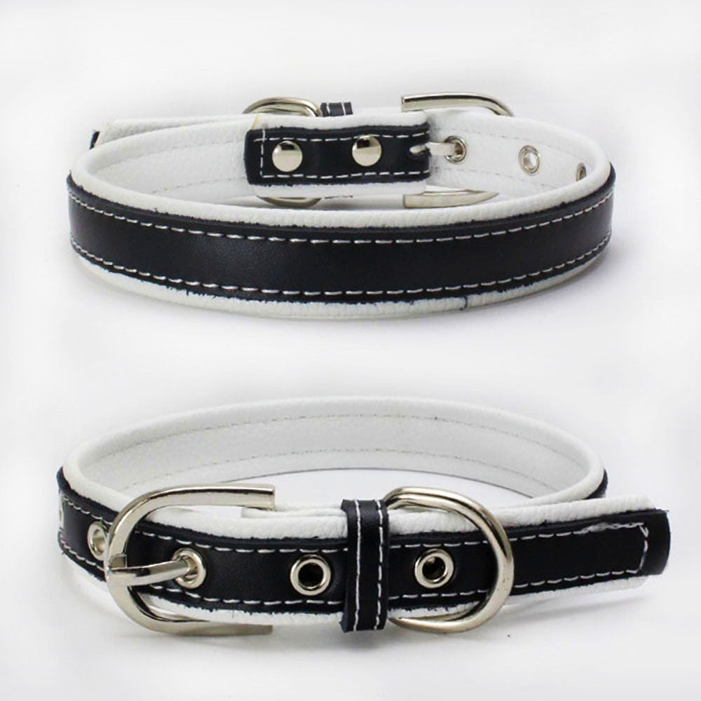 Classic Black & White Leather Dog Collar